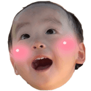 003