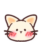 019
