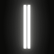 081