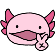 019
