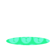 246
