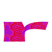 205