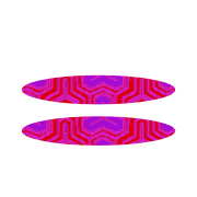 244