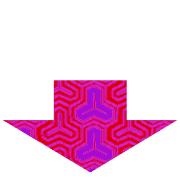 261