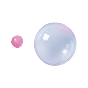017