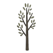 036