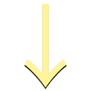 261