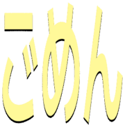 305