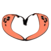 025