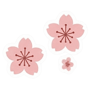 029
