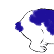 017