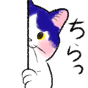 019