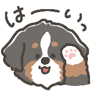 003
