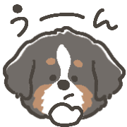009