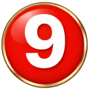 019