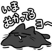 029