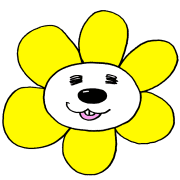 029