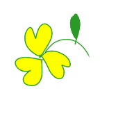 036