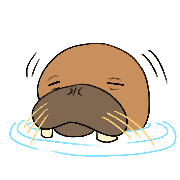 031