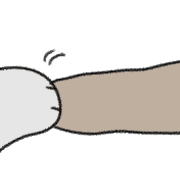 016