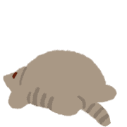 019