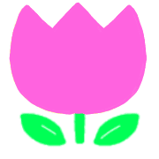 004
