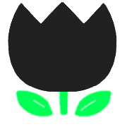 007