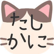 031