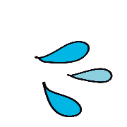 029