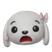 010