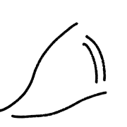036