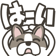 003