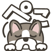 010