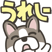 031