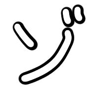 145
