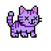 005