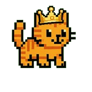 009