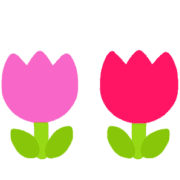 020