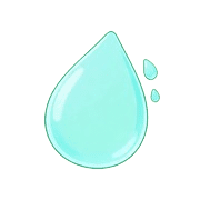 029
