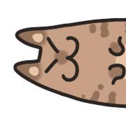 021