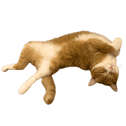 013