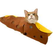 025