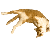 030