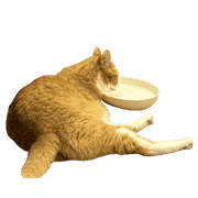 037