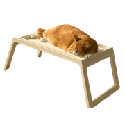 038