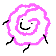 019