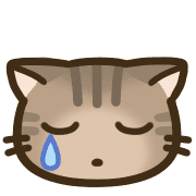 031