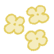 019