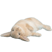 038