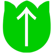 260
